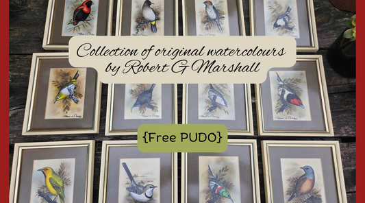 Free Pudo with all of Robert G Marshall Paintings