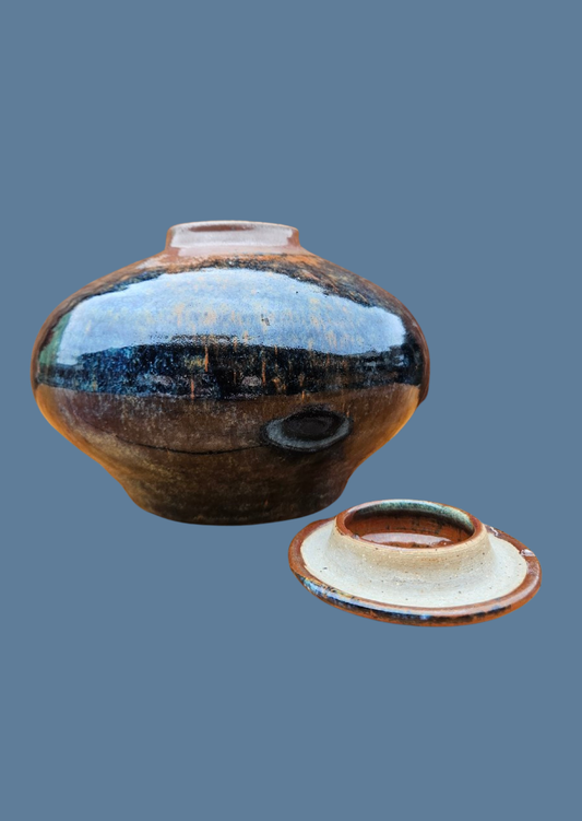 Steve Shapiro Pottery Urn