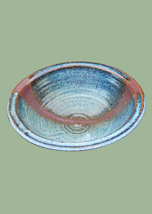 Steve Shapiro Pottery Bowl