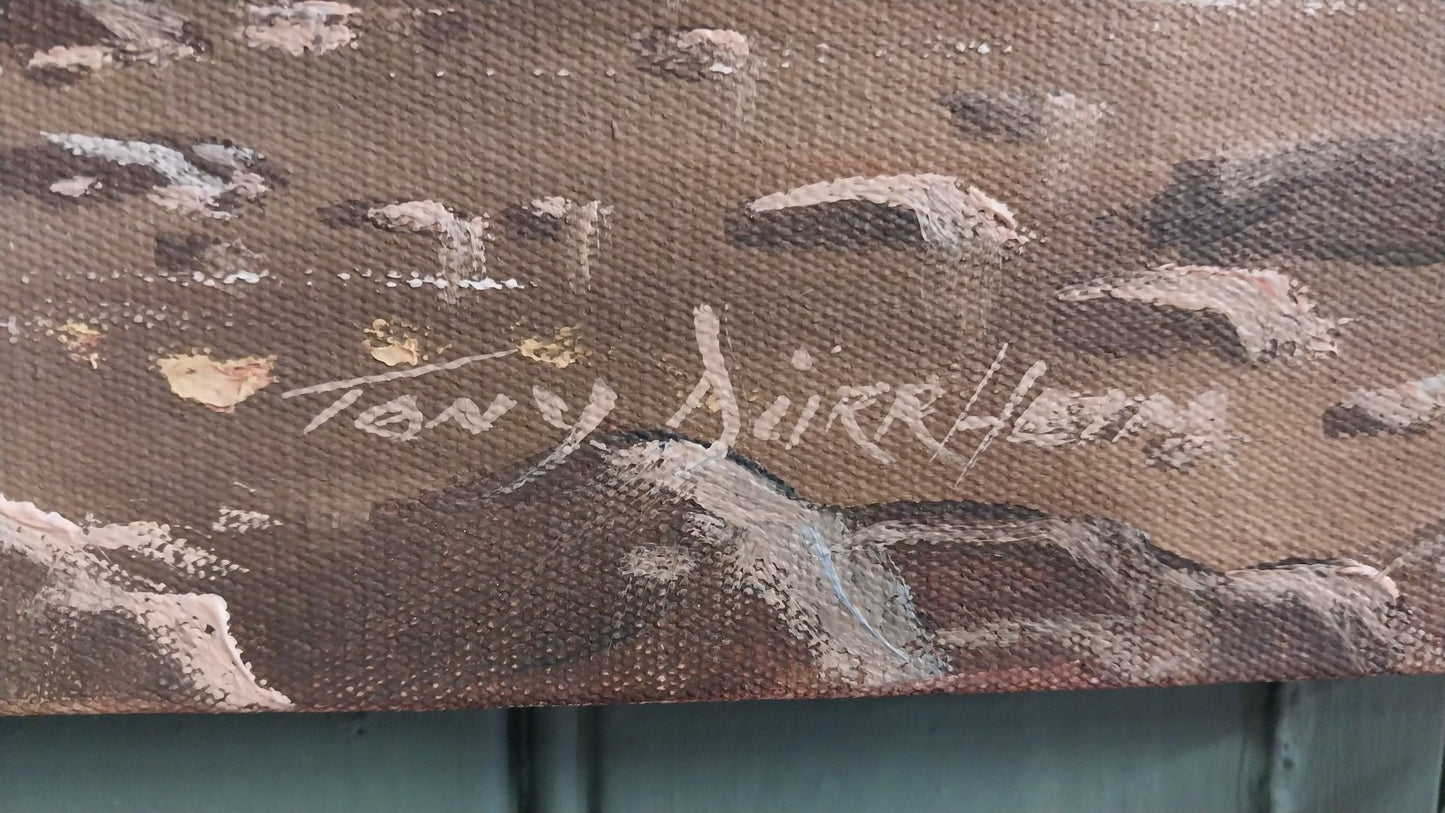 Painting by Tony Durrheim