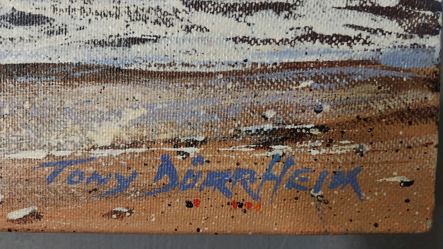 Tony Durrheim painting