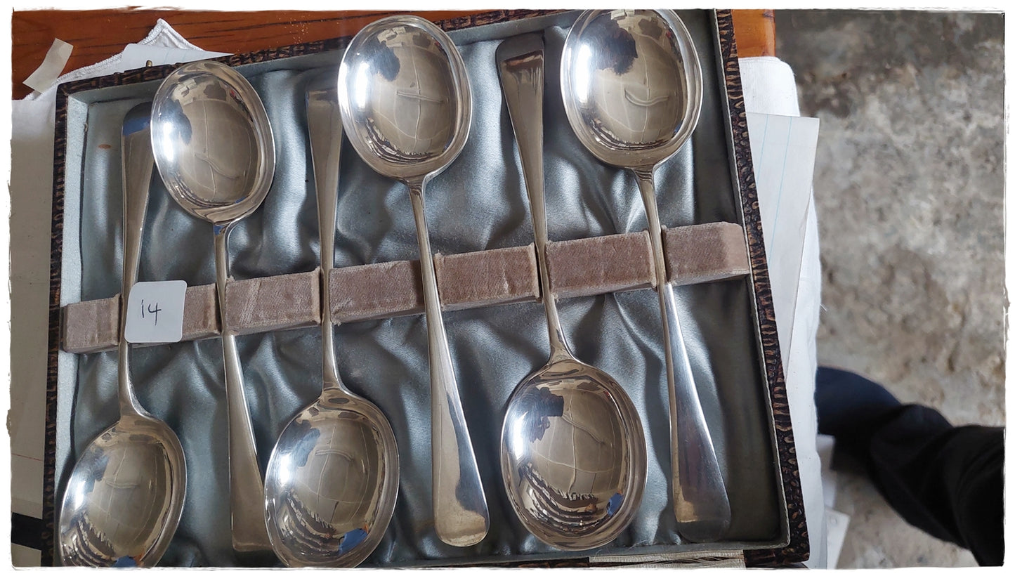 Boxed set of soup spoons