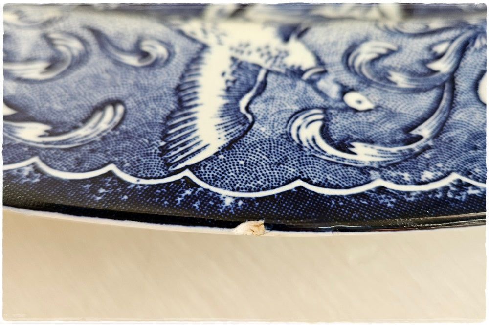 Delft plate
