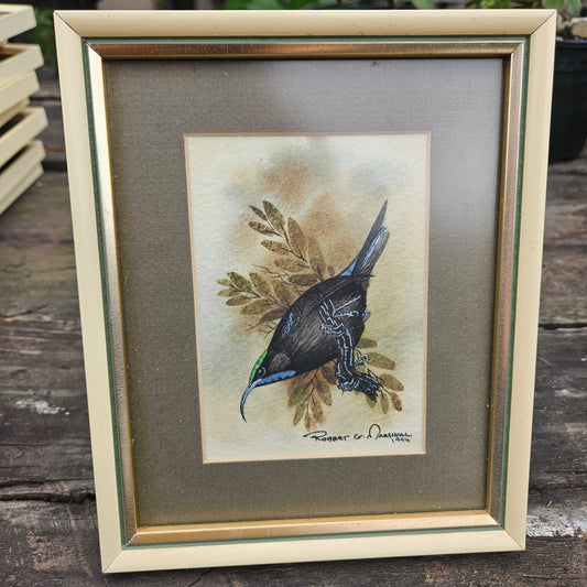 Black Sunbird Original Watercolour by Robert G Marshall