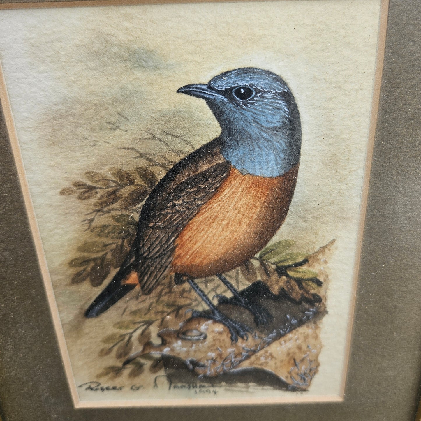 Cape Rock Chat Original Watercolour by Robert G Marshall