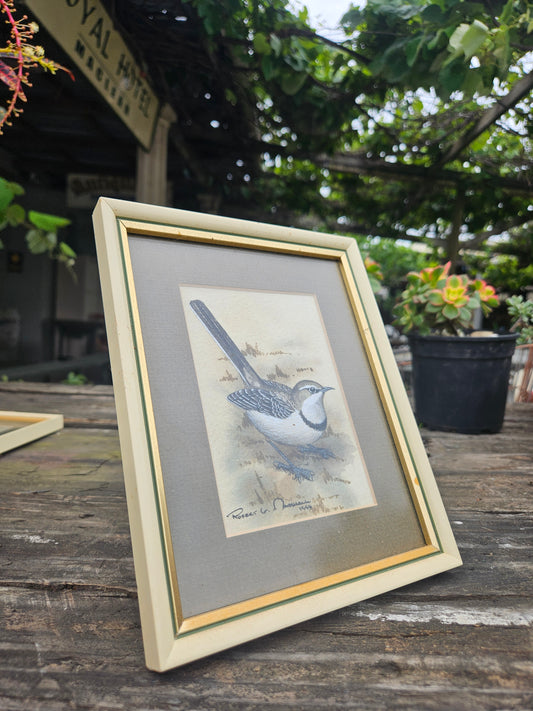 Cape Wagtail Original Watercolour by Robert G Marshall