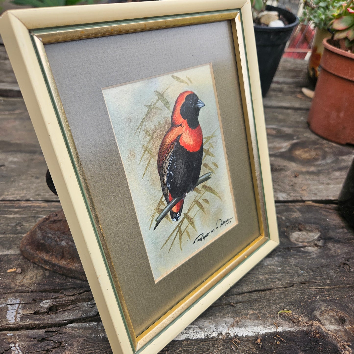 Red Bishop Original Watercolour by Robert G Marshall