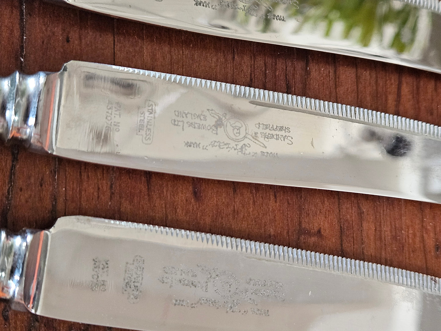 Set of 12 bone handled knives knives