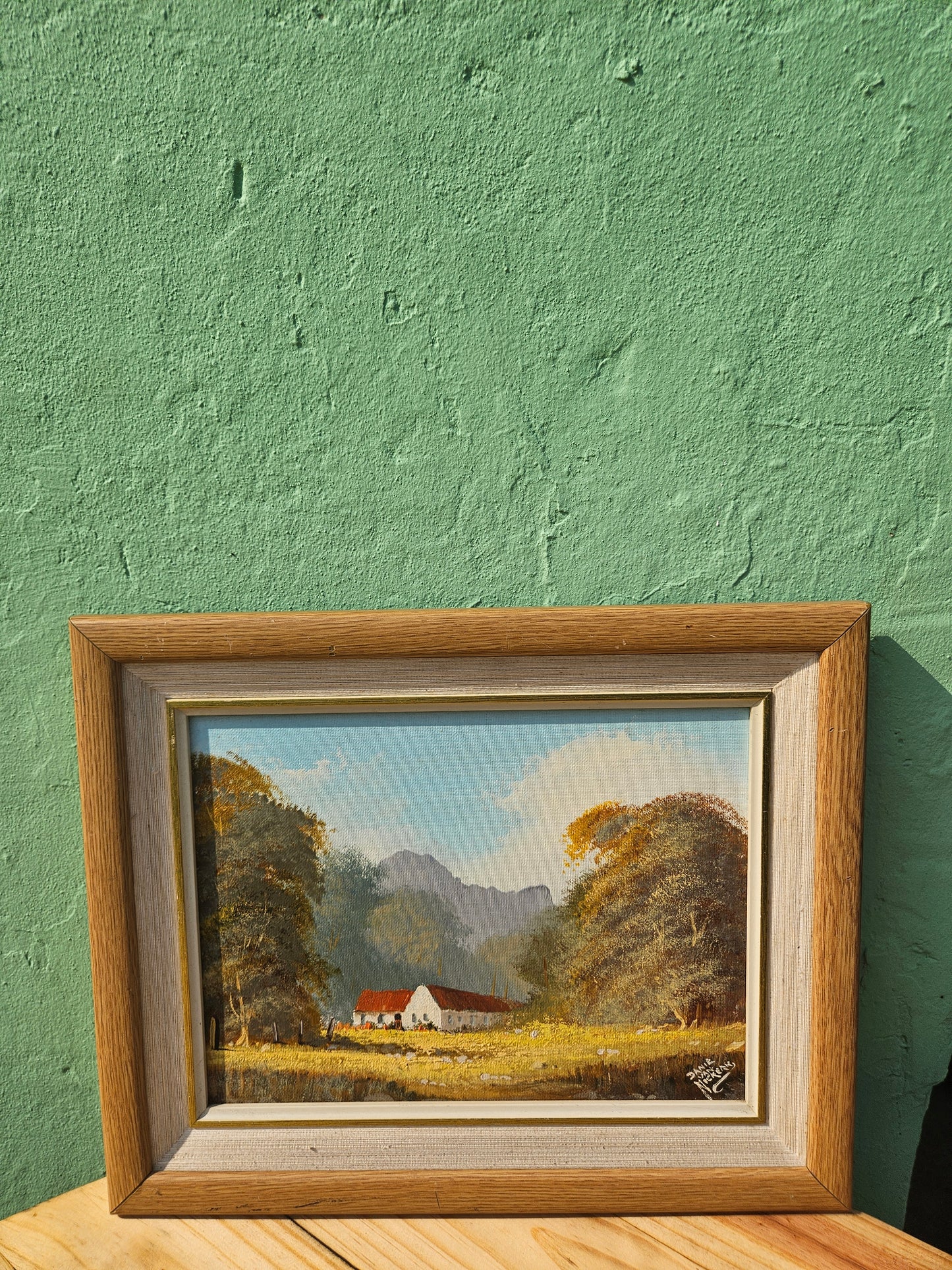 Red roofed farmhouse by Danie Van Niekerk