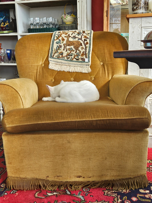 Lounge Suite