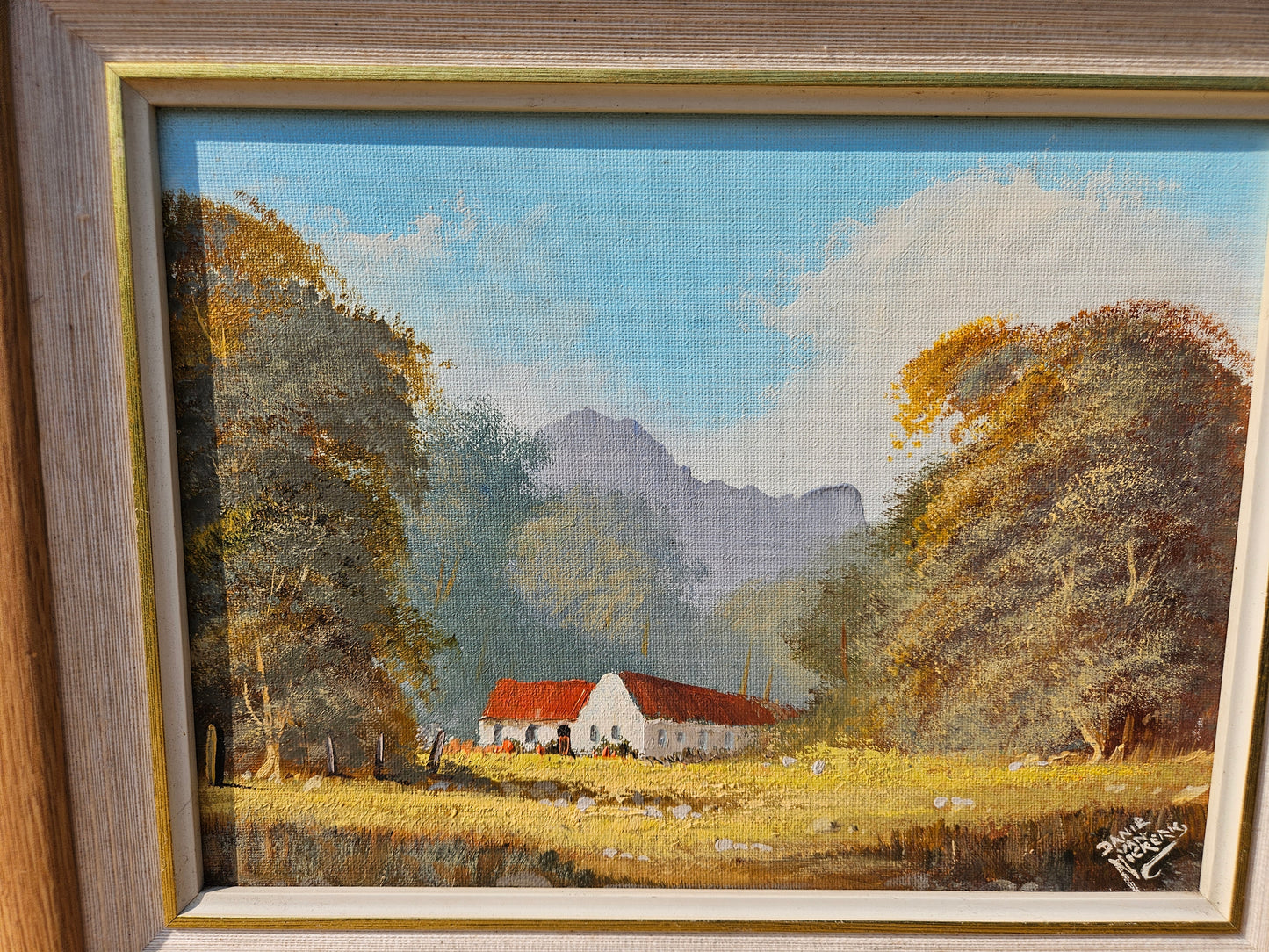 Red roofed farmhouse by Danie Van Niekerk