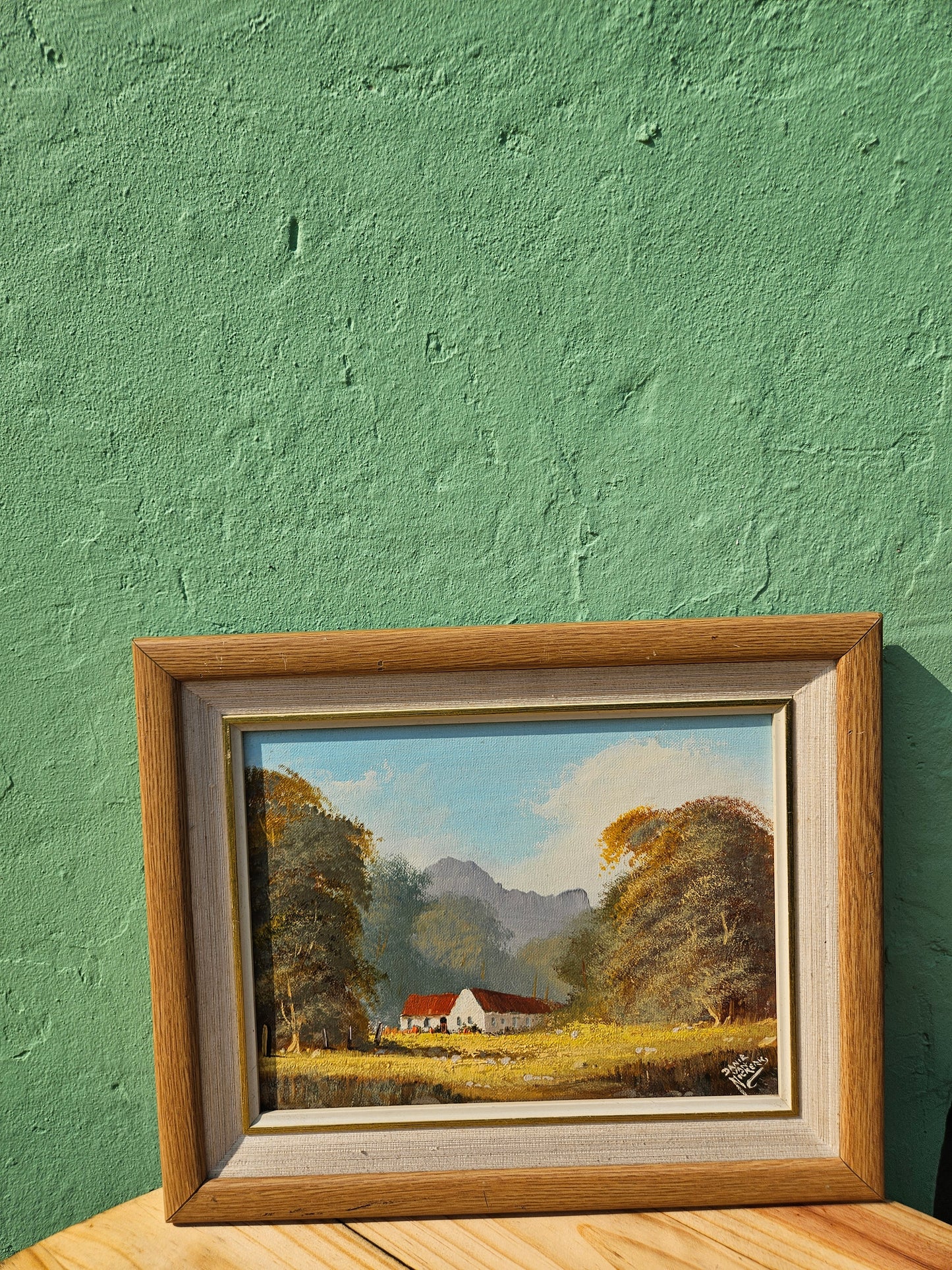 Red roofed farmhouse by Danie Van Niekerk