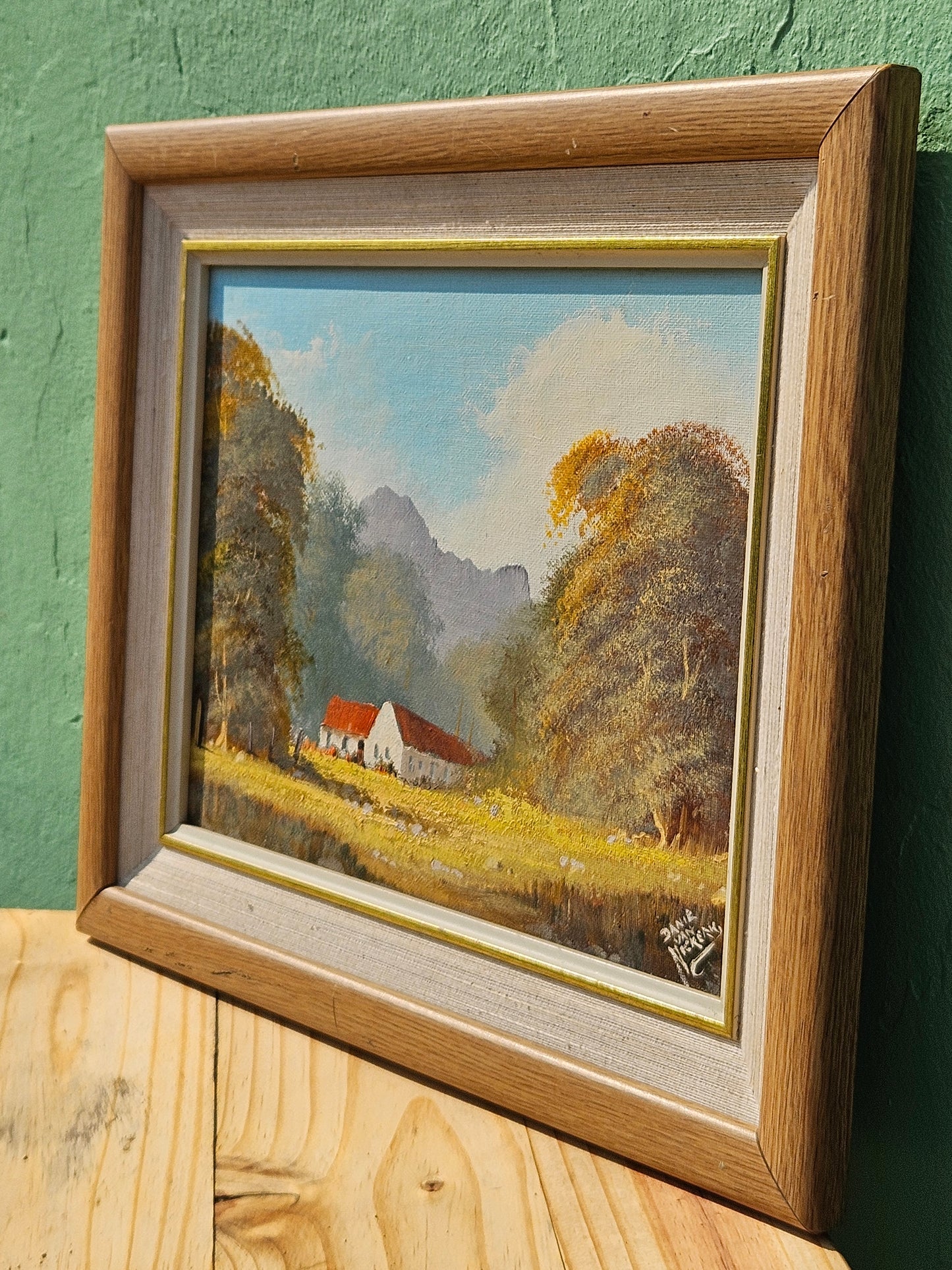 Red roofed farmhouse by Danie Van Niekerk