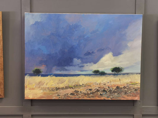 Original Louis Audie Paintings for sale on BidorBuy