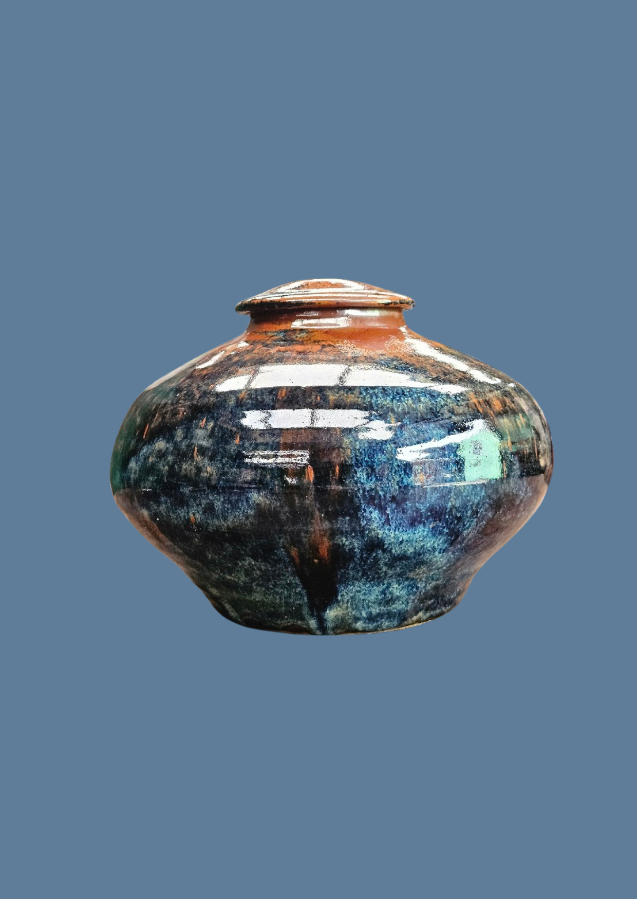 Steve Shapiro Pottery Urn