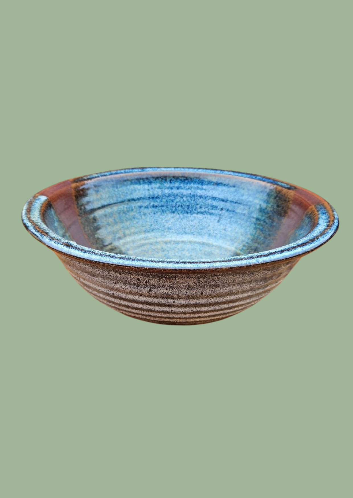 Steve Shapiro Pottery Bowl