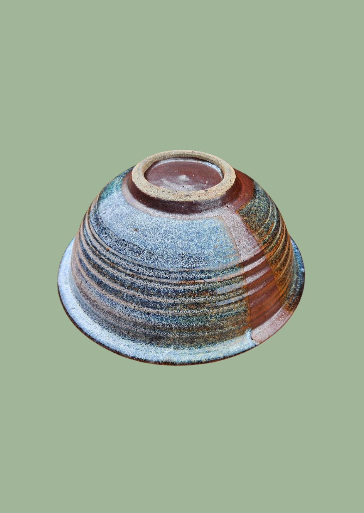 Steve Shapiro Pottery Bowl