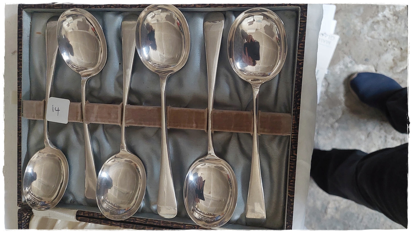 Boxed set of soup spoons
