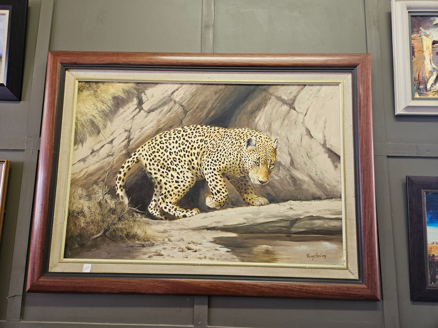 Painting of a young leopard by Thomas Hacking