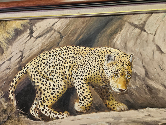 Painting of a young leopard by Thomas Hacking