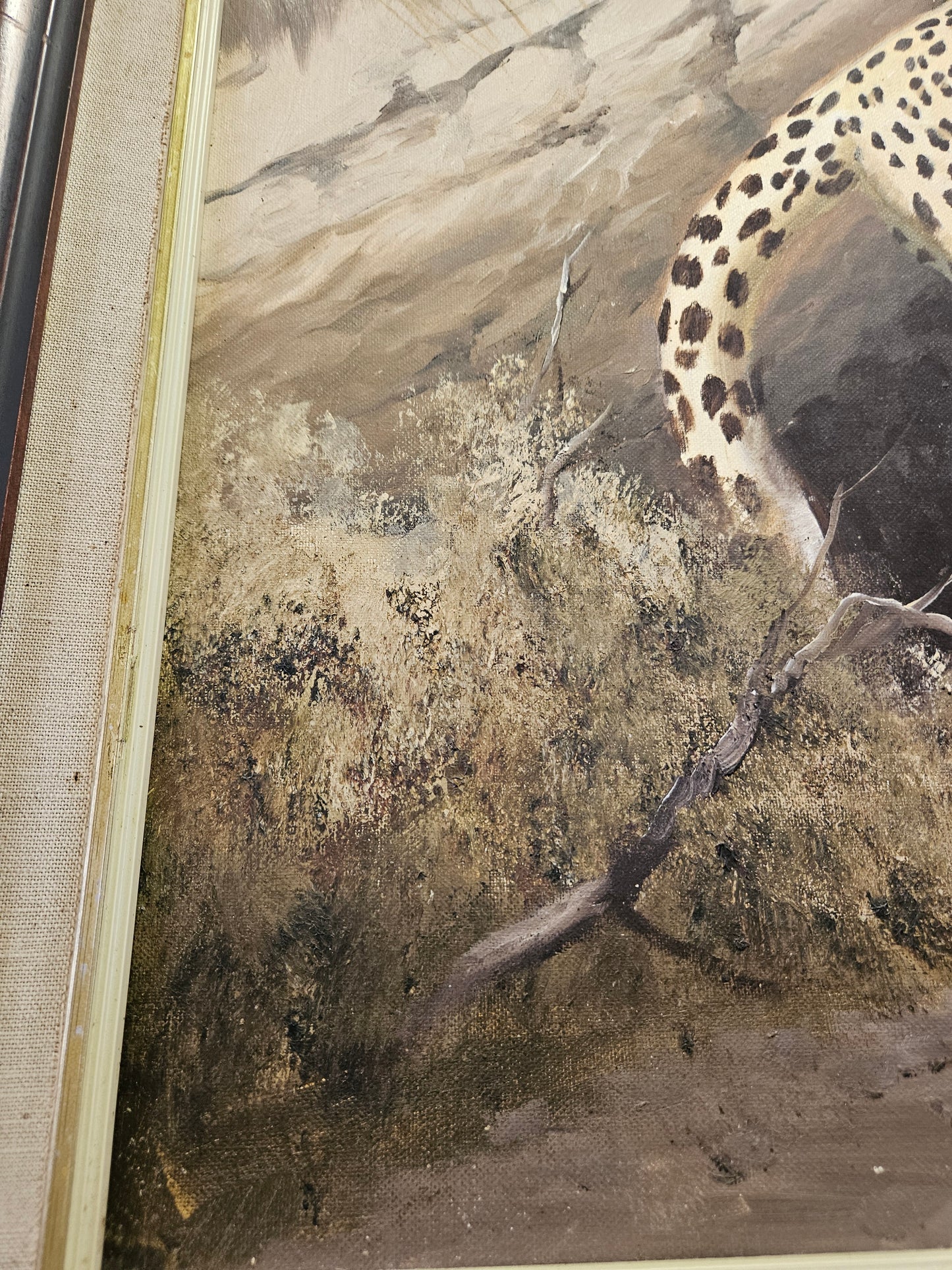 Painting of a young leopard by Thomas Hacking