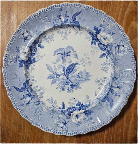 Antique Blue And White Botanical Beauties Plate