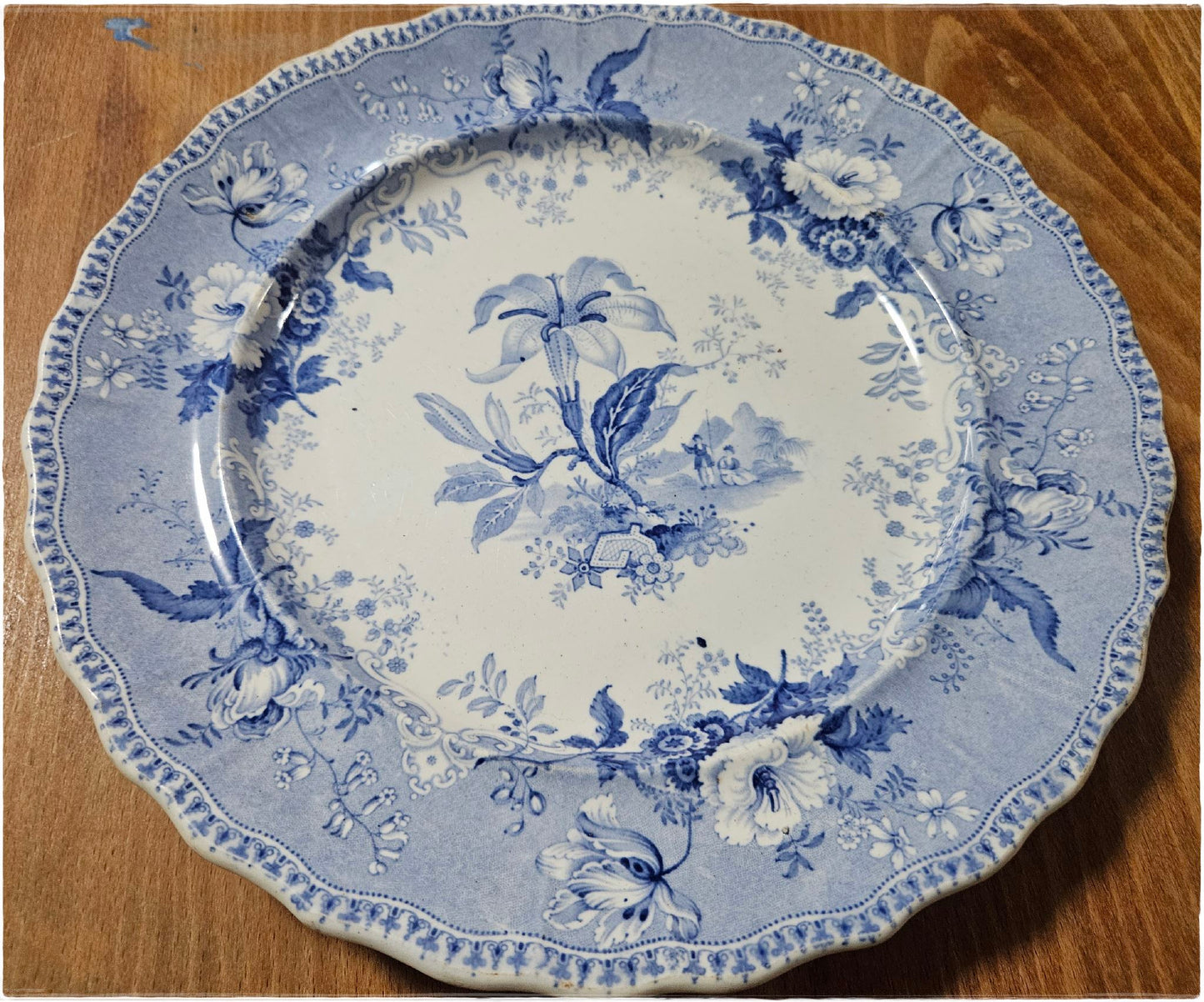 Antique Blue And White Botanical Beauties Plate