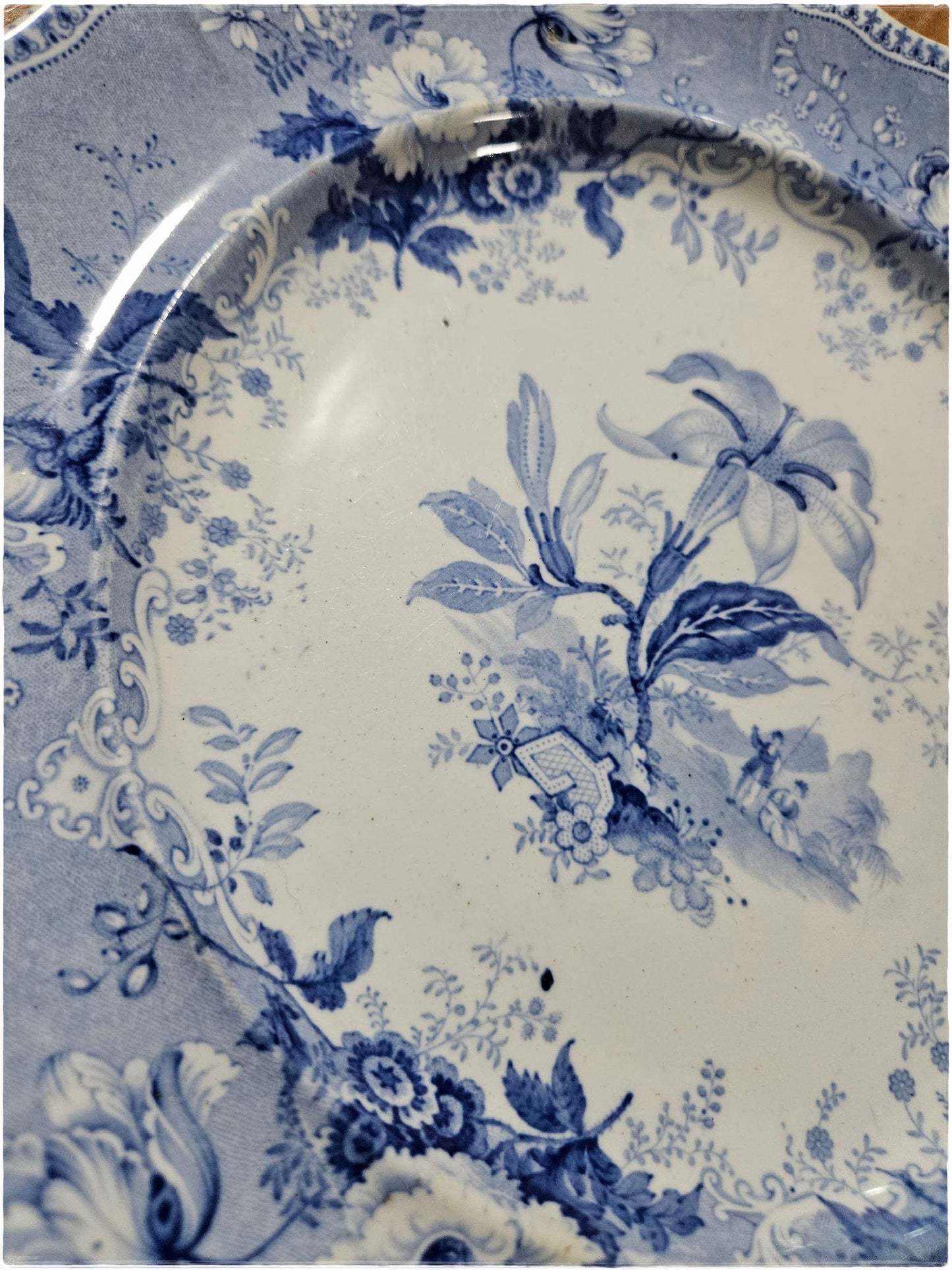 Antique Blue And White Botanical Beauties Plate