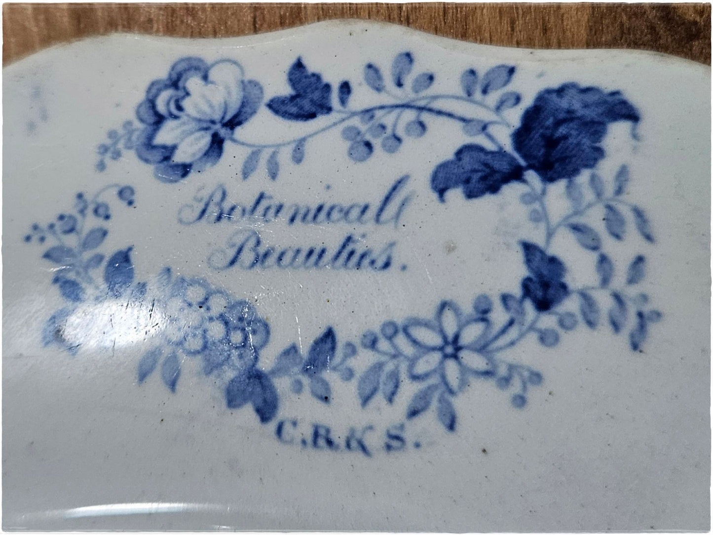 Antique Blue And White Botanical Beauties Plate
