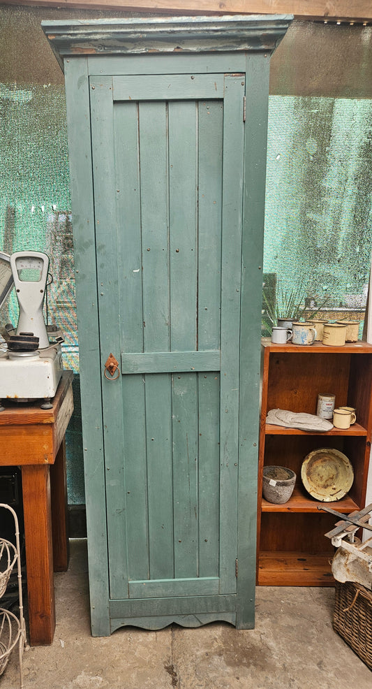 Green cabinet with shelving