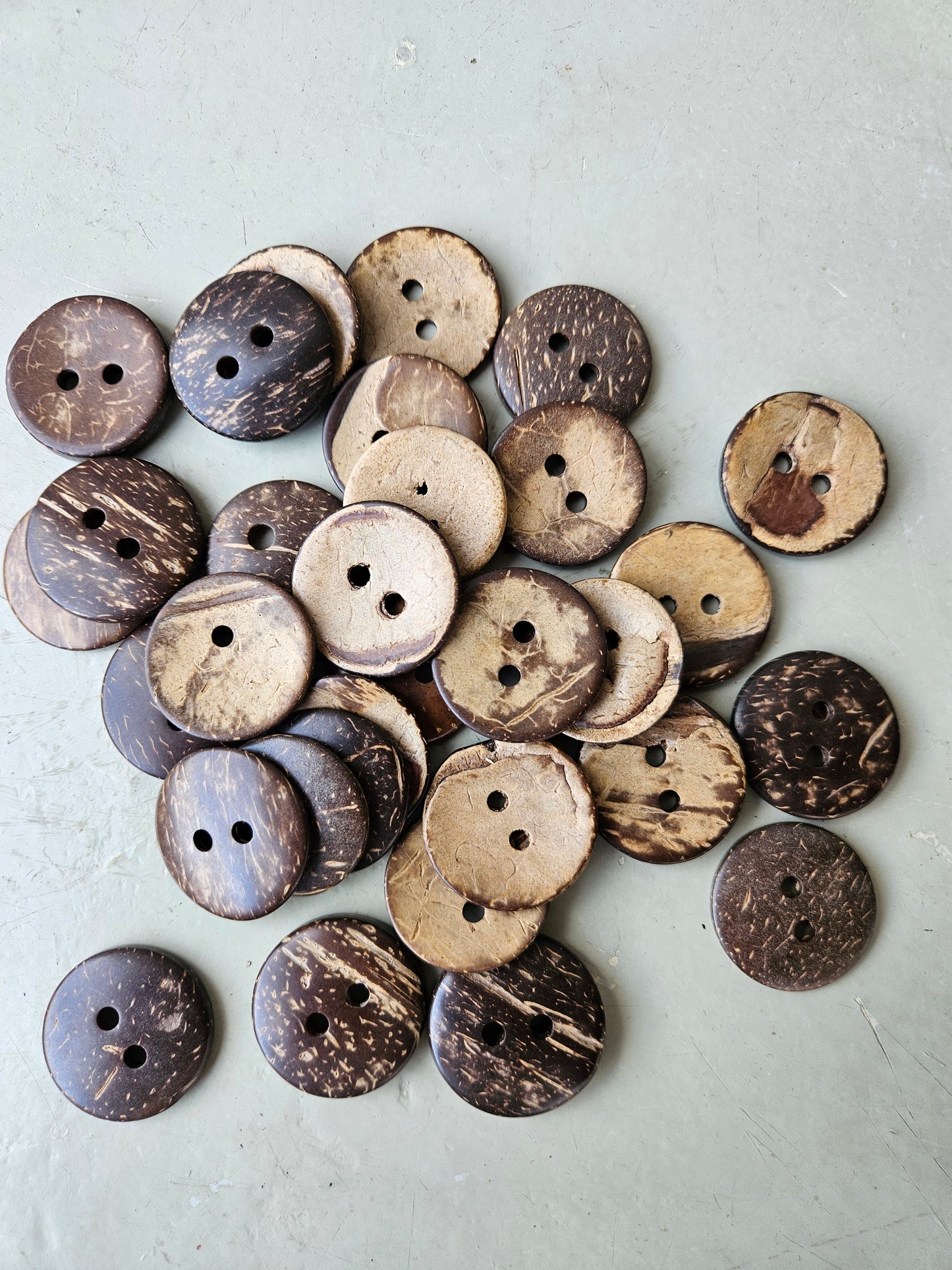Coconut shell buttons - large