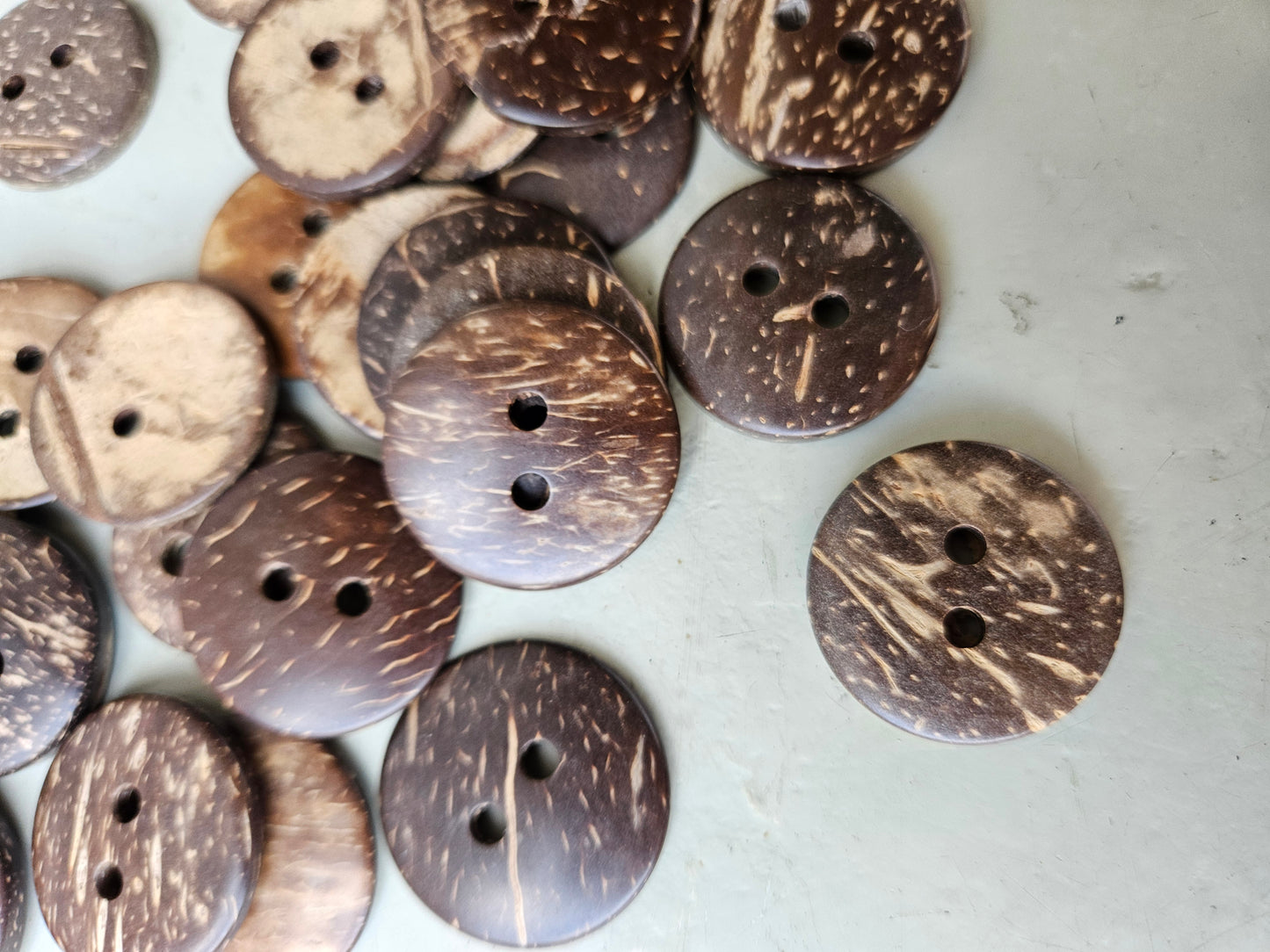 Coconut shell buttons - large
