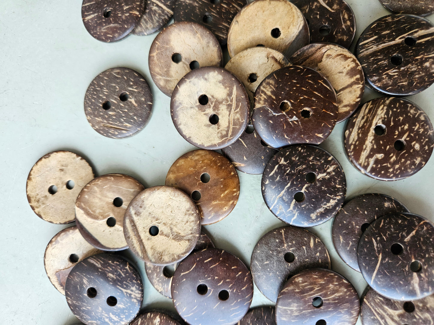 Coconut shell buttons - large