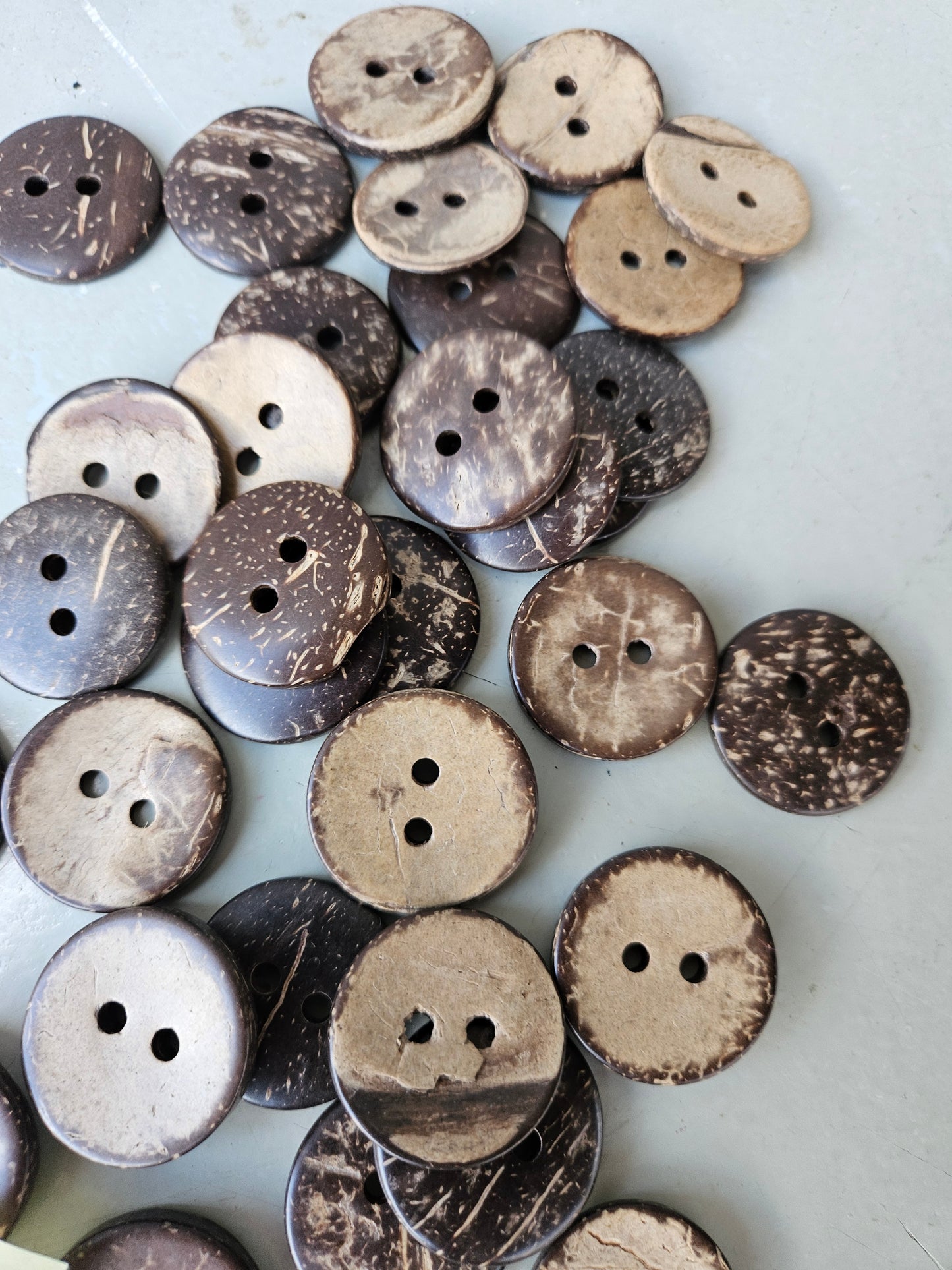 Coconut shell buttons - large