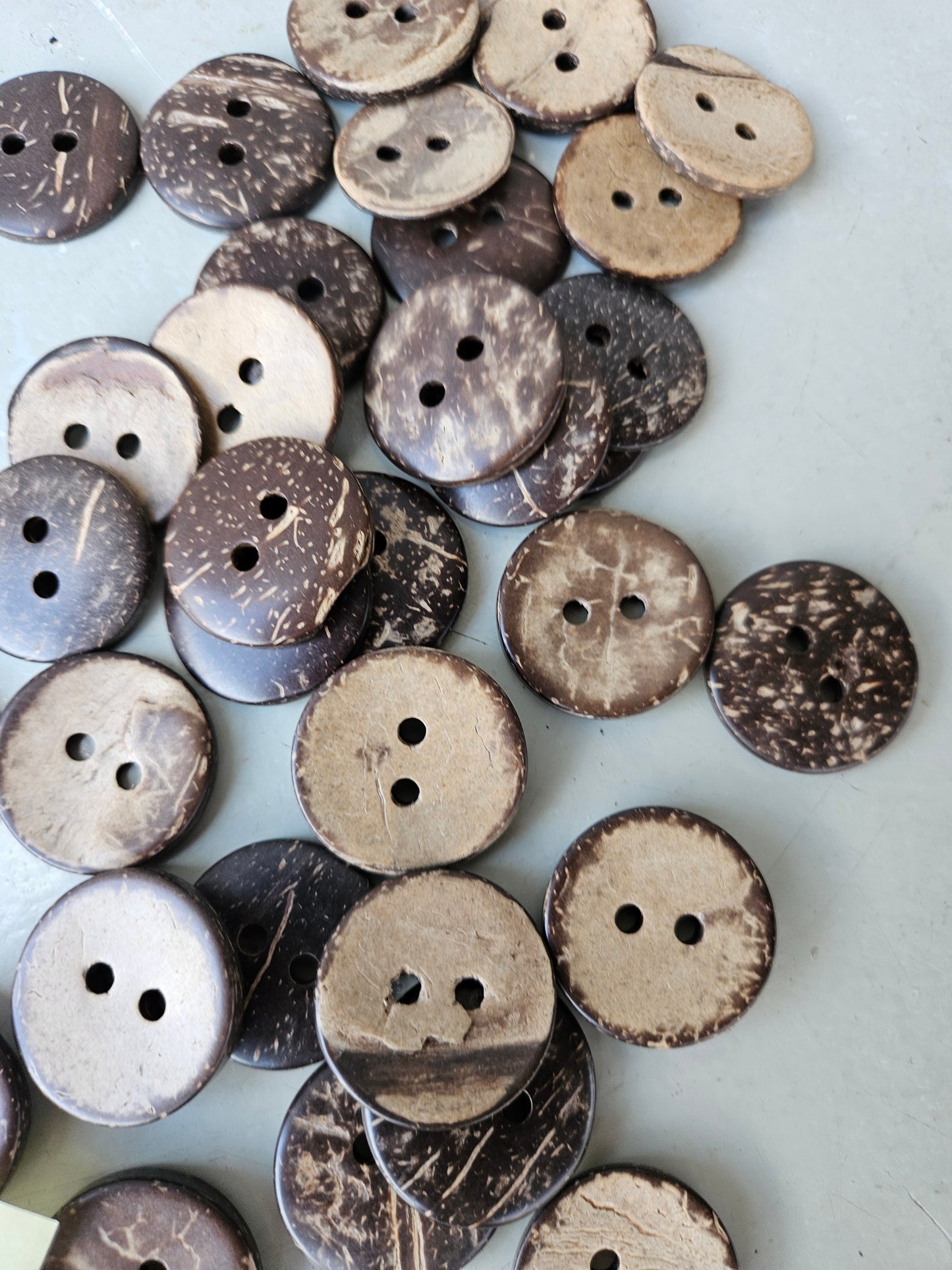 Coconut shell buttons - large