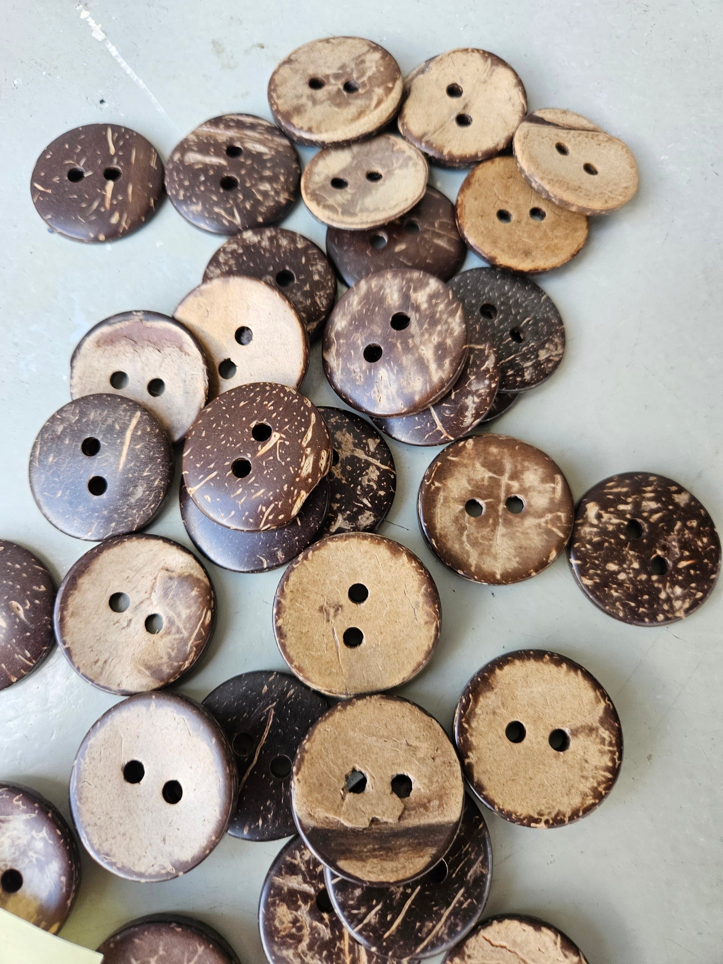 Coconut shell buttons - large