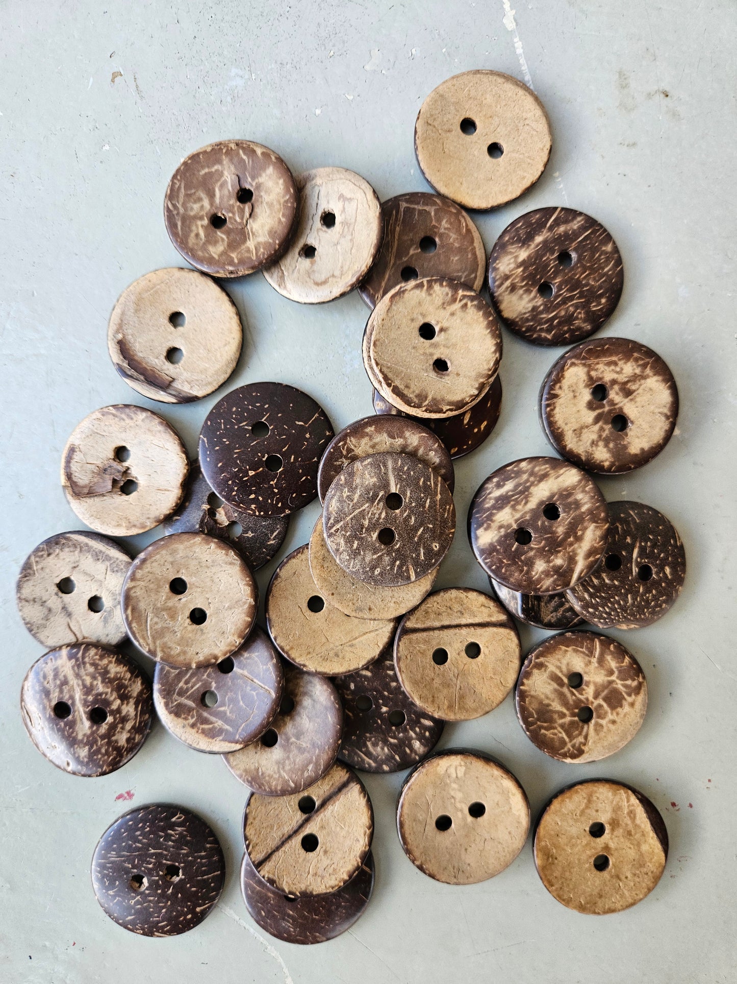 Coconut shell buttons - large