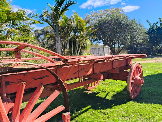 Ox wagon
