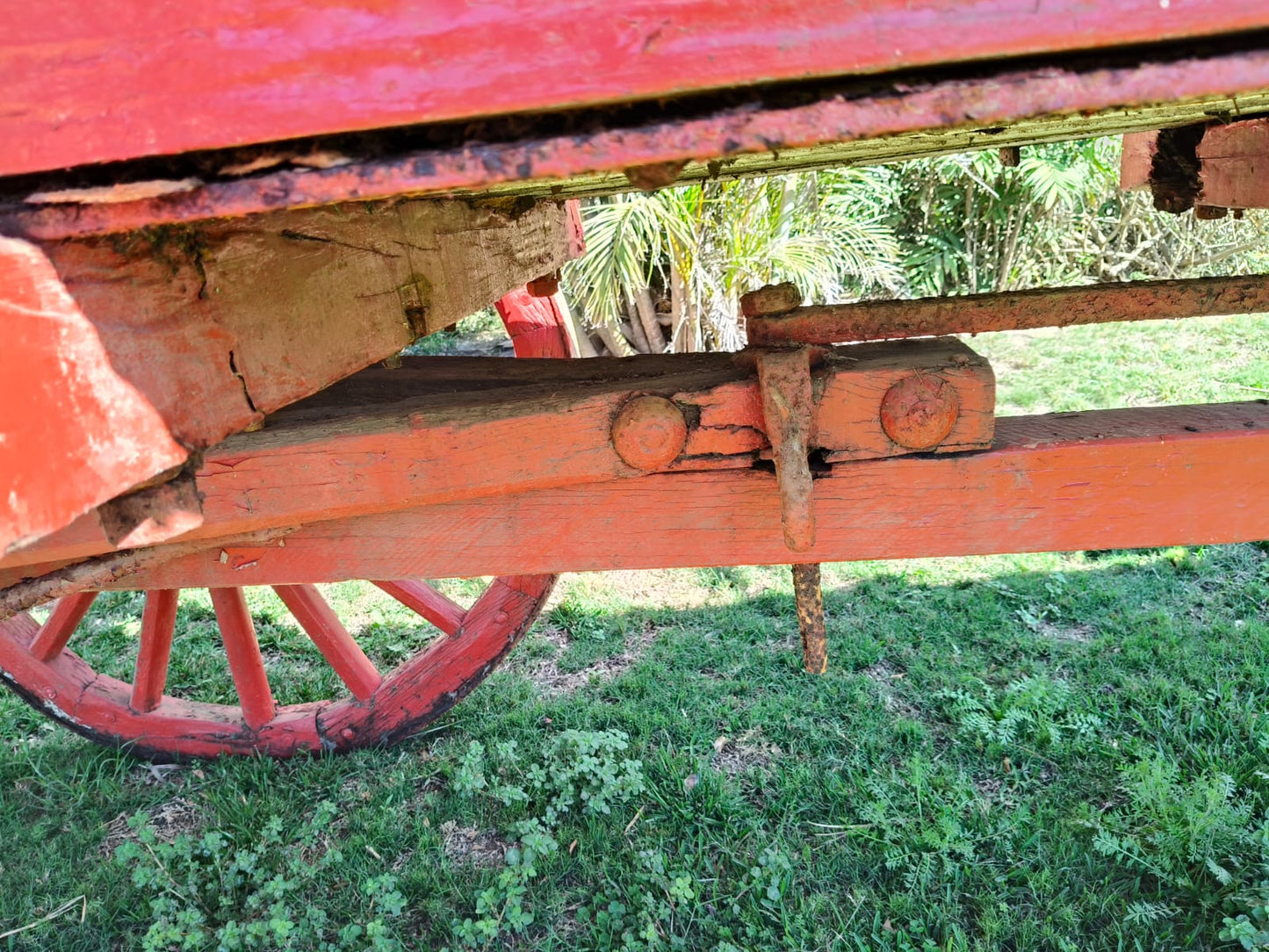 Ox wagon