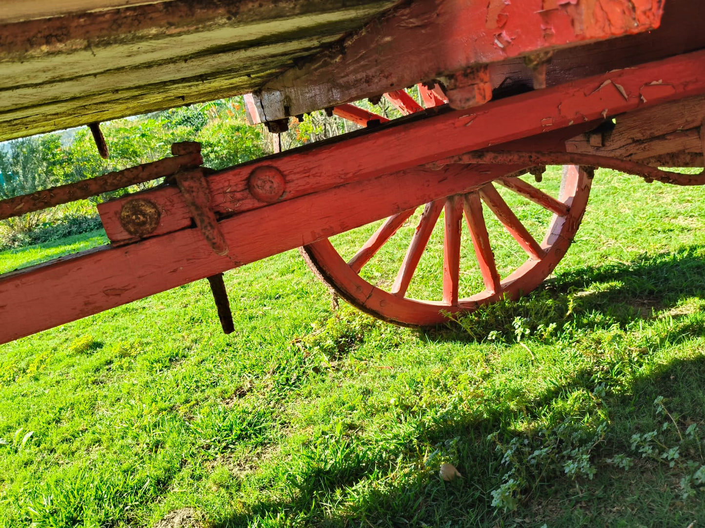 Ox wagon