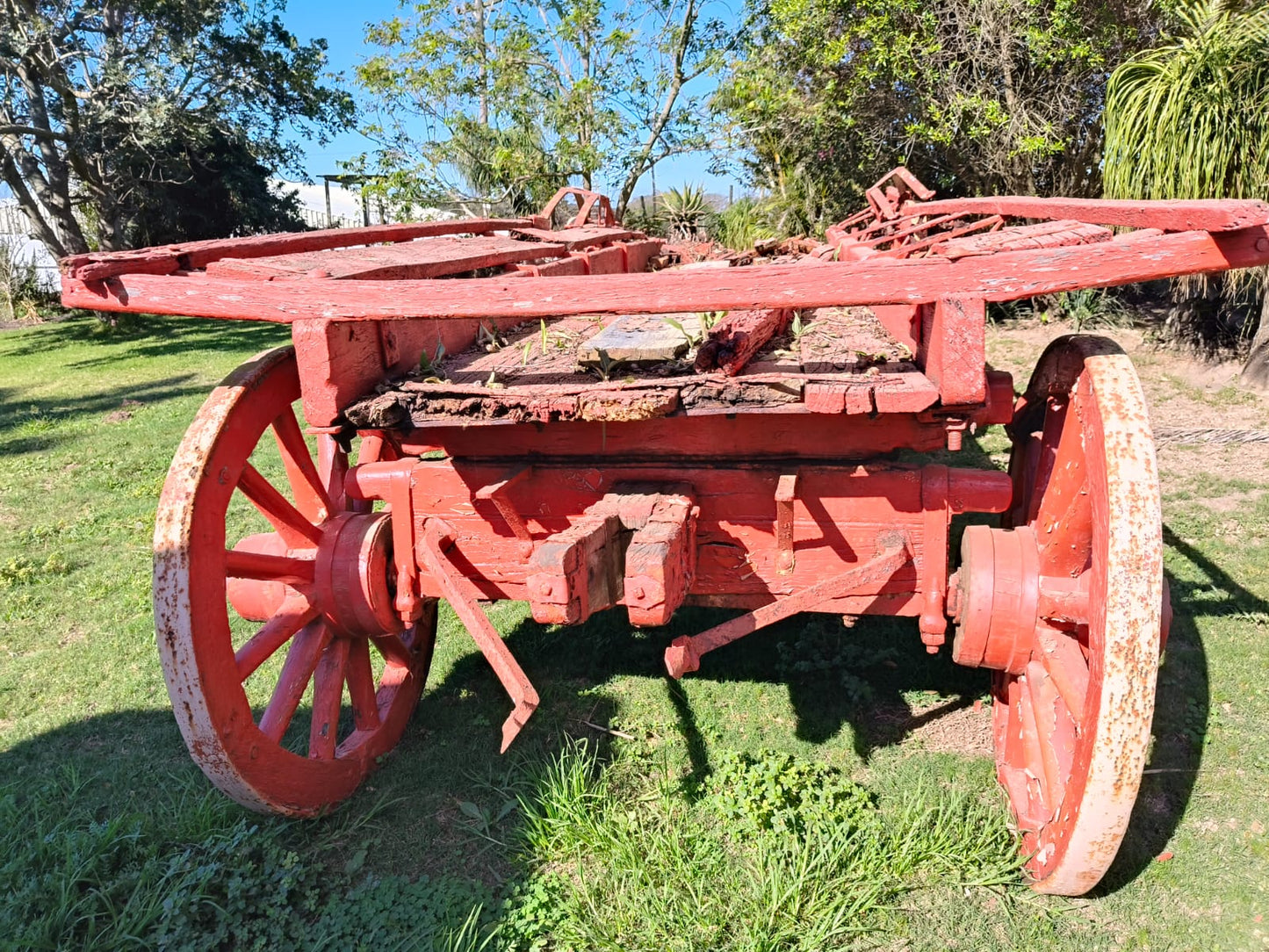 Ox wagon