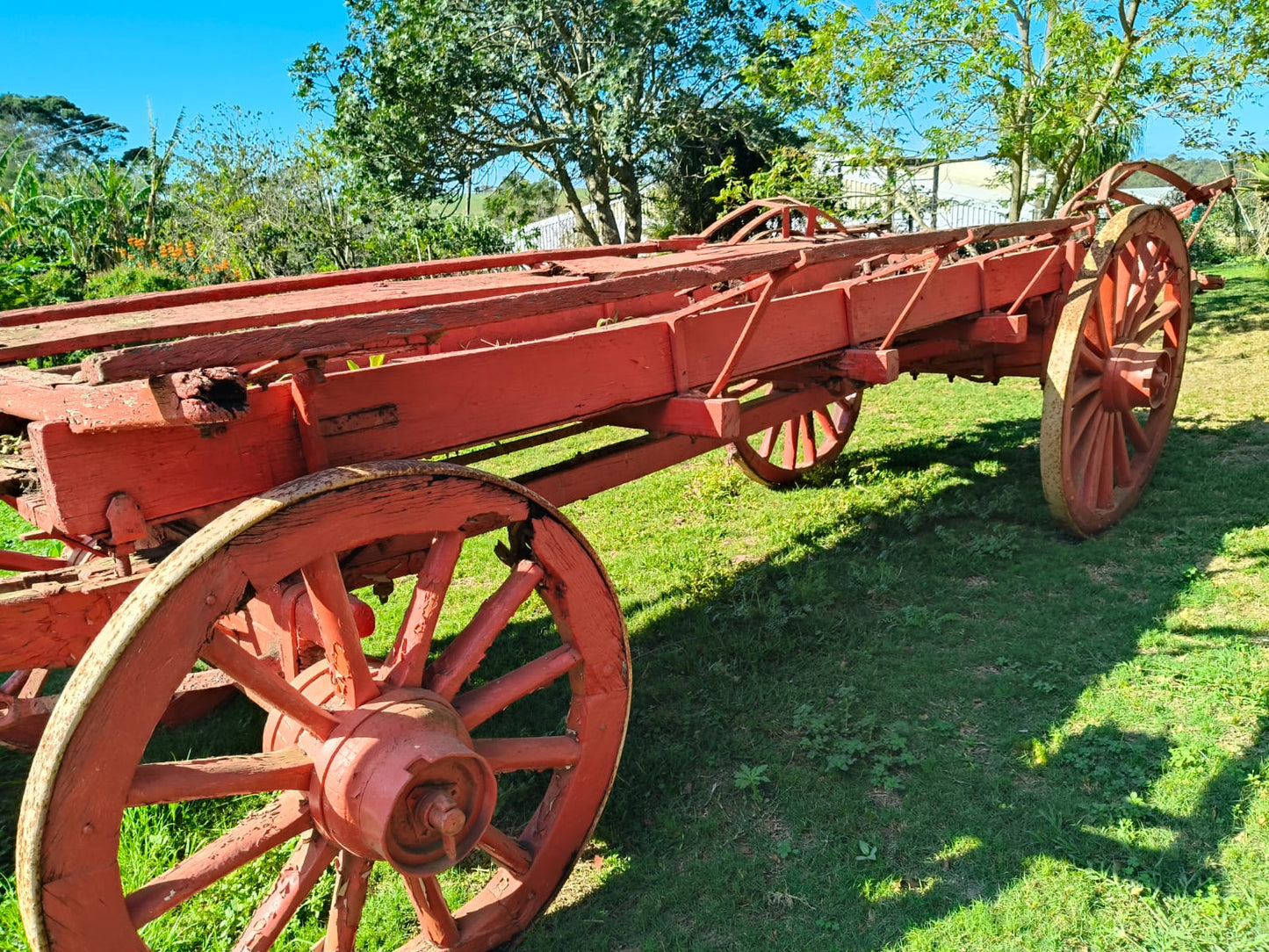 Ox wagon