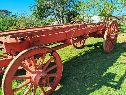 Ox wagon