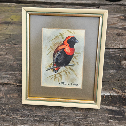 Red Bishop Original Watercolour by Robert G Marshall