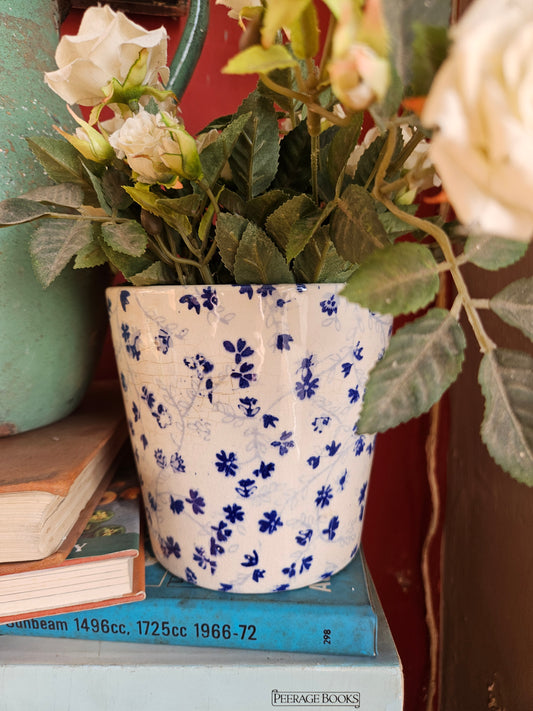 Plant pot