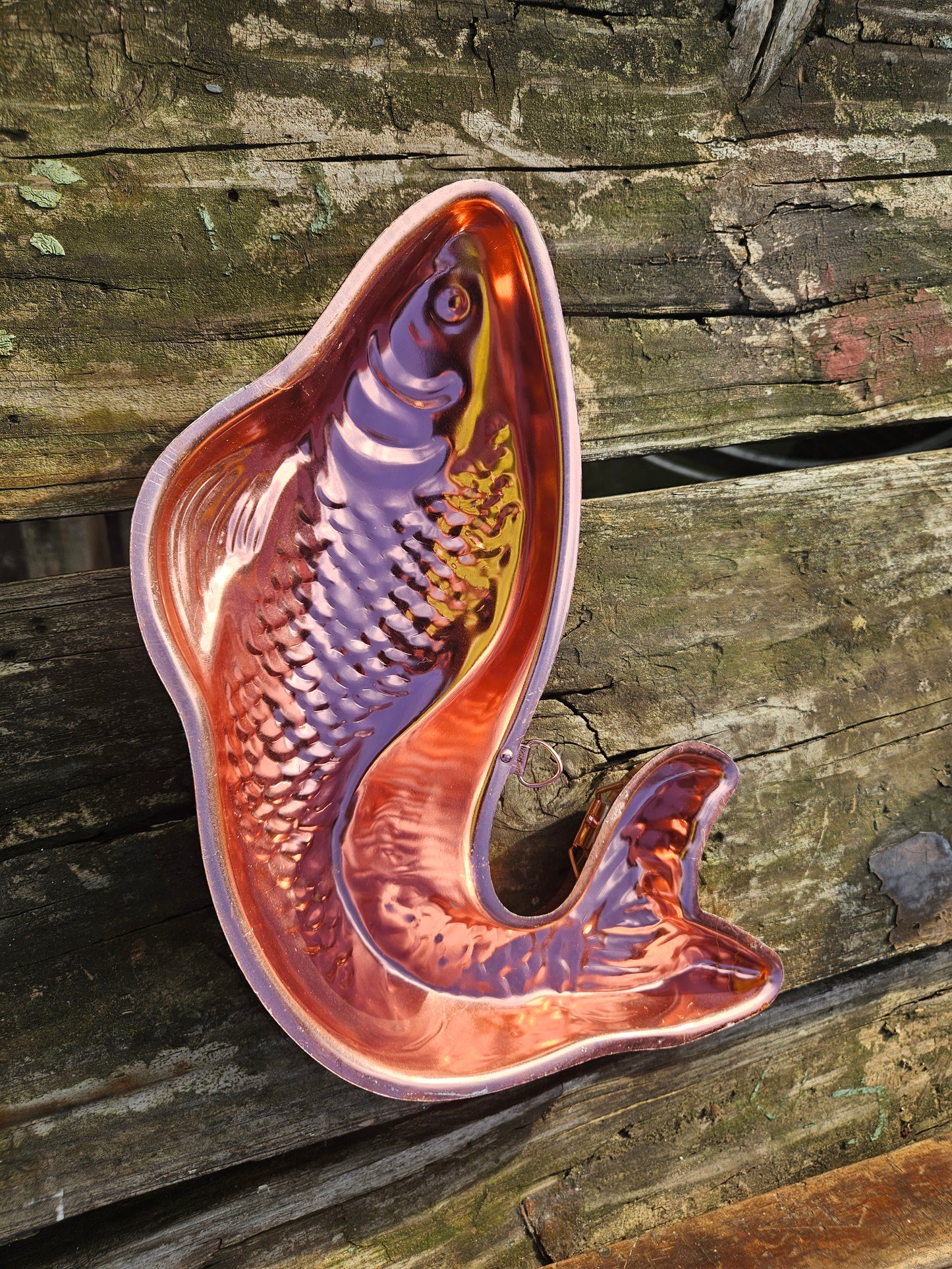Fish mould