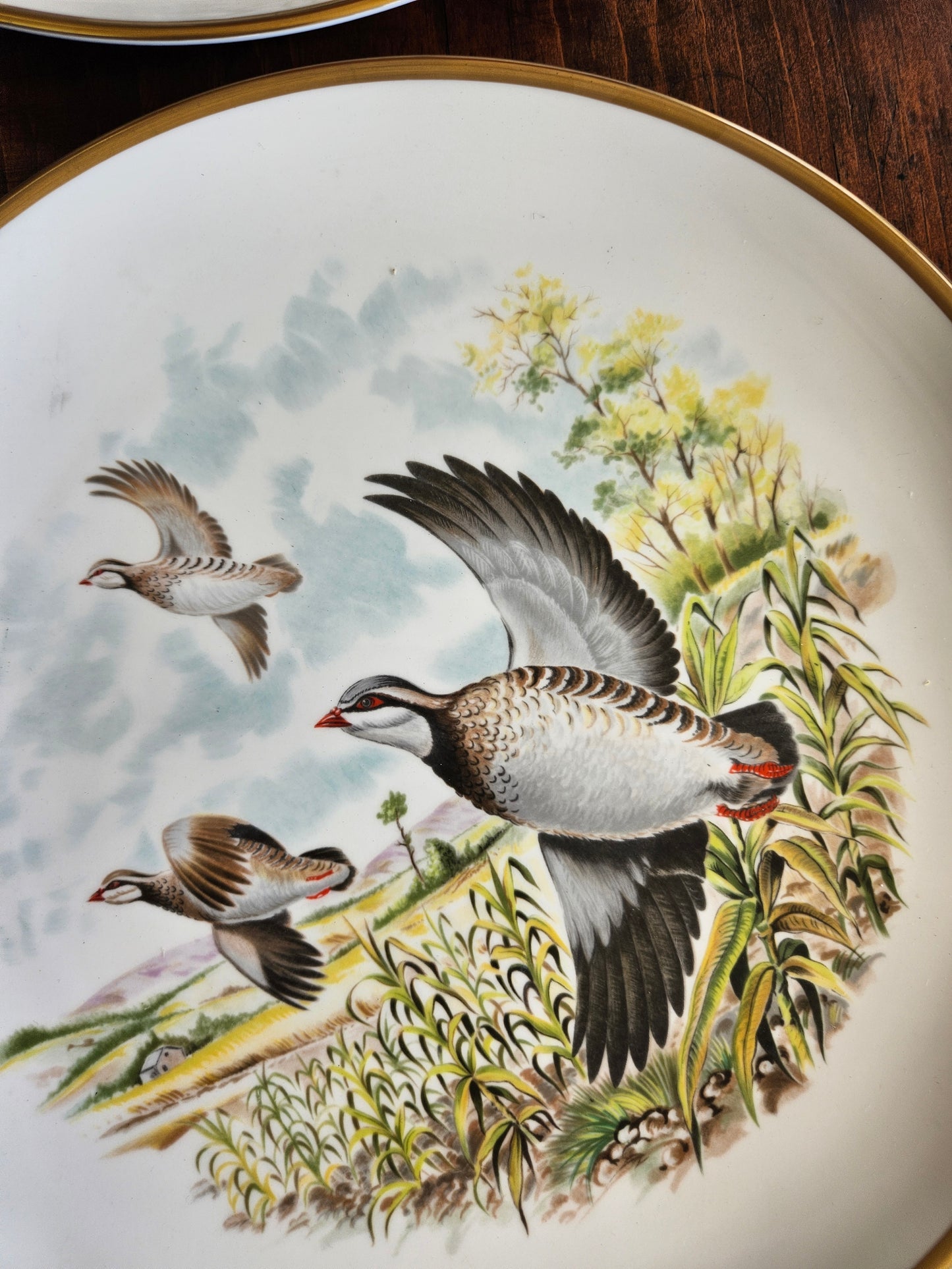 Decorative plate with bird illustration