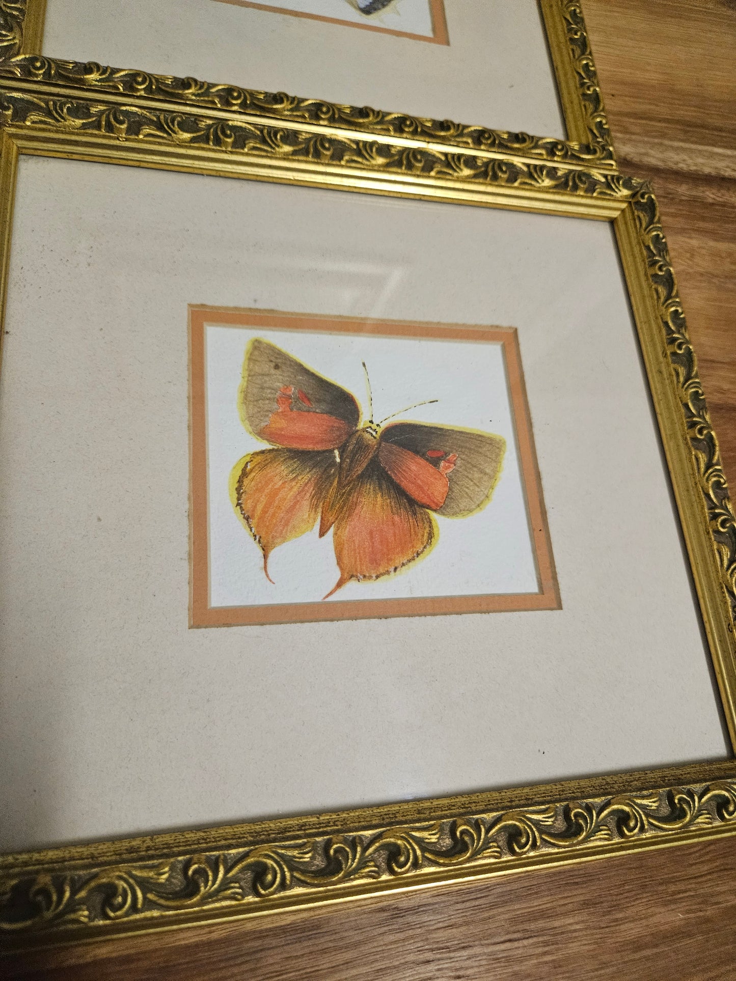 Butterfly pictures set of 4
