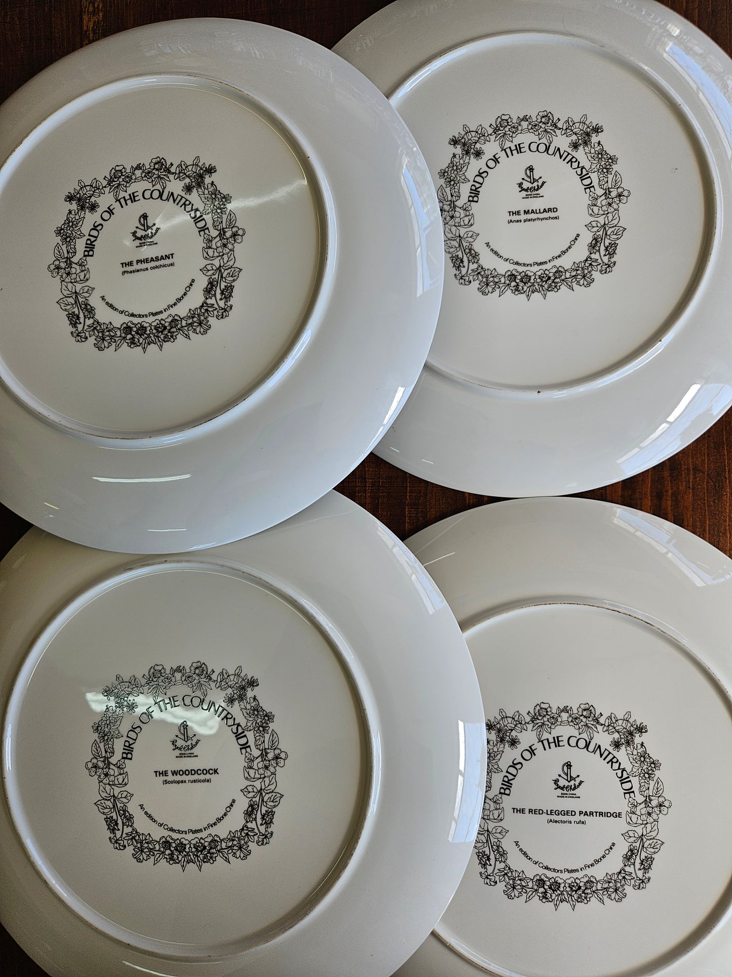 Set of 4 bird plates