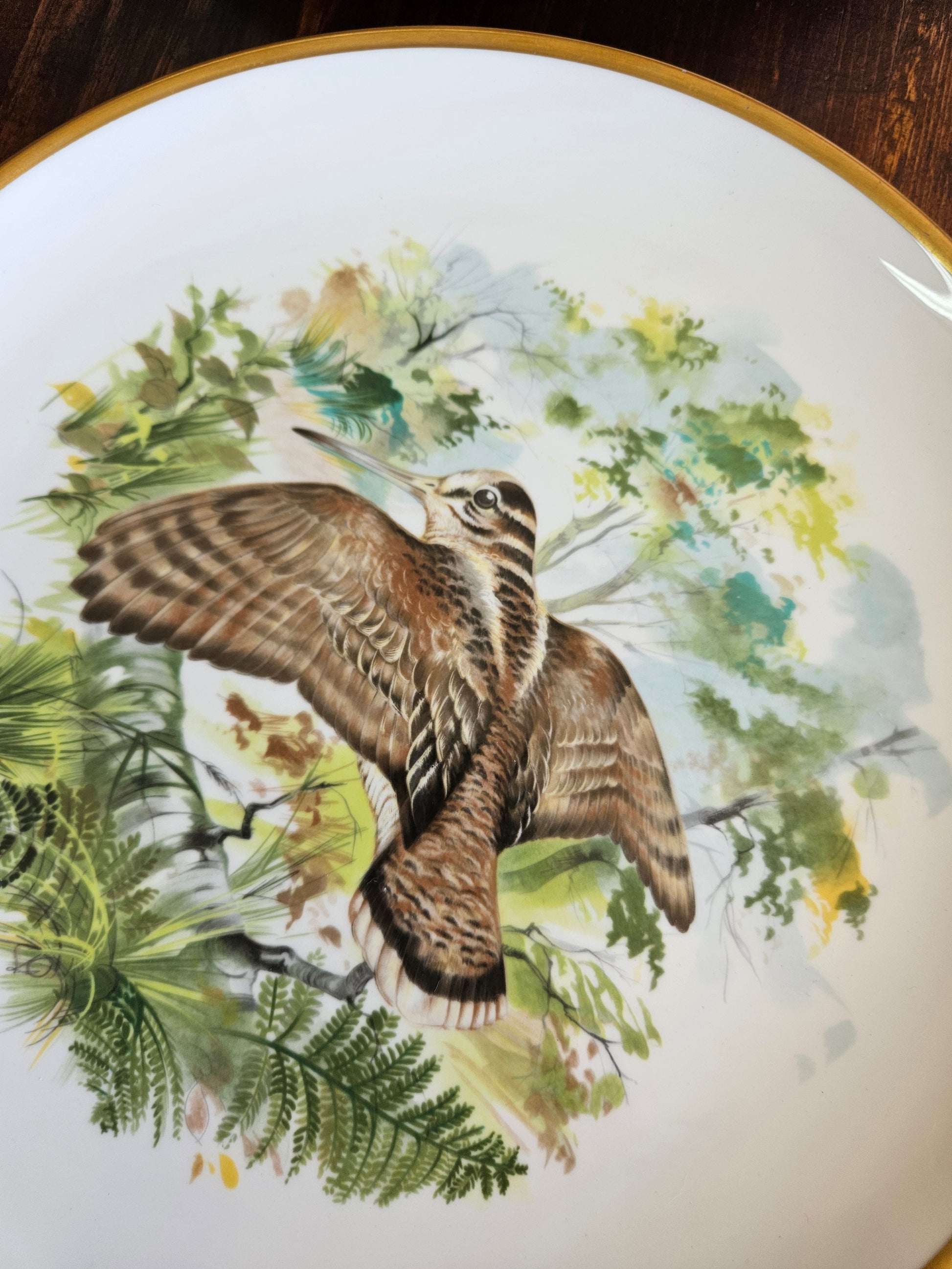 Decorative plate with a bird and nature design on a white background